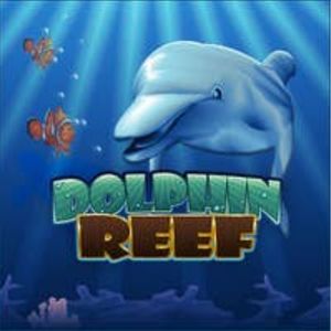 Dolphin Reef Slot - Logo - jk8slots