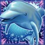 Dolphin Reef Slot - Wild - jk8slots